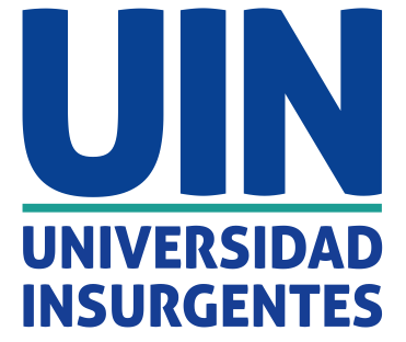 Universidad Insurgentes Licenciatura Ejecutiva en Mercadotecnia