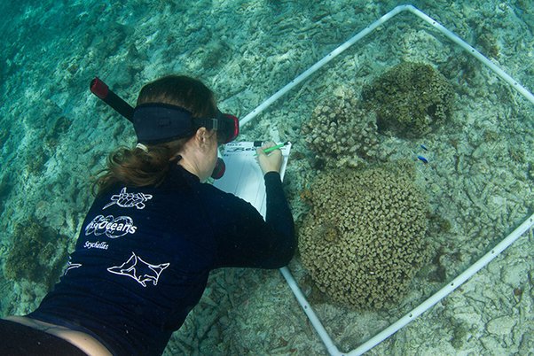 cuánto gana un biologo marino en mexico