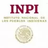 Beca Indígena