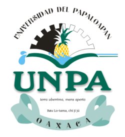 Universidad Del Papaloapan