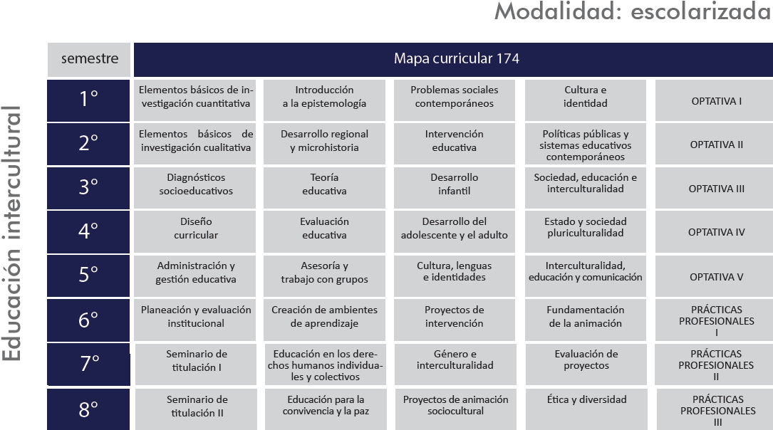 plan de estudios educacion intercultural